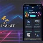 bet play casino